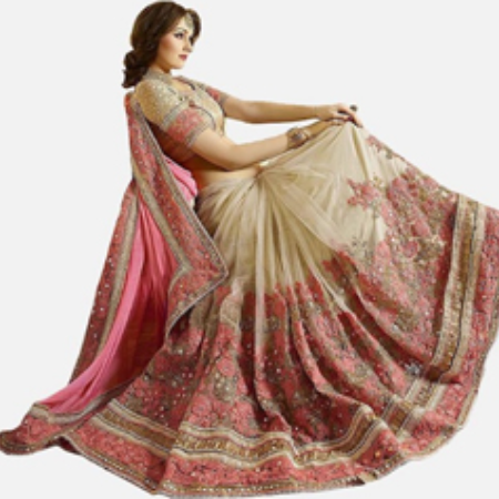 Designer Saree